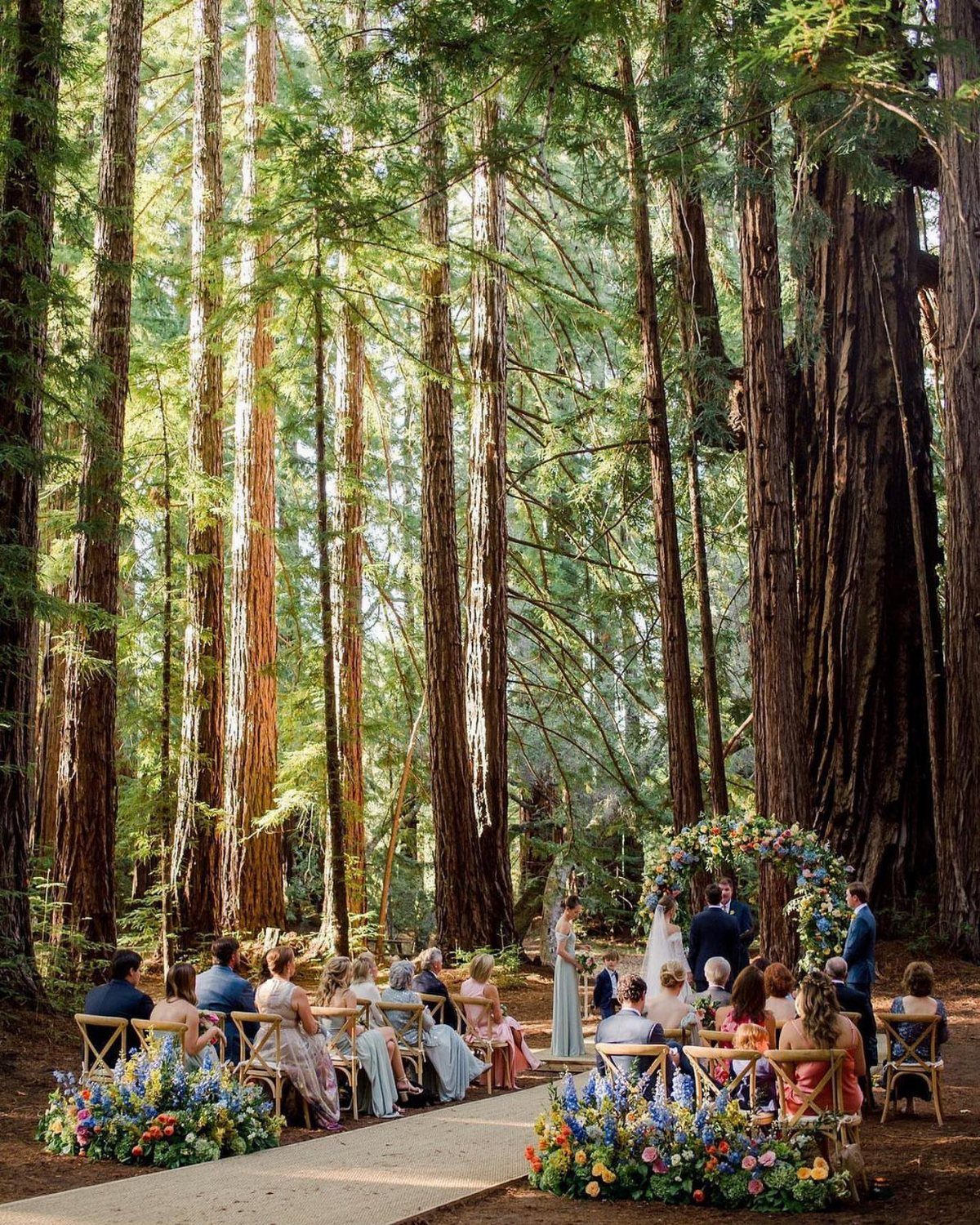 Wedding ceremony with guests and a floral arch among towering redwood forest trees.