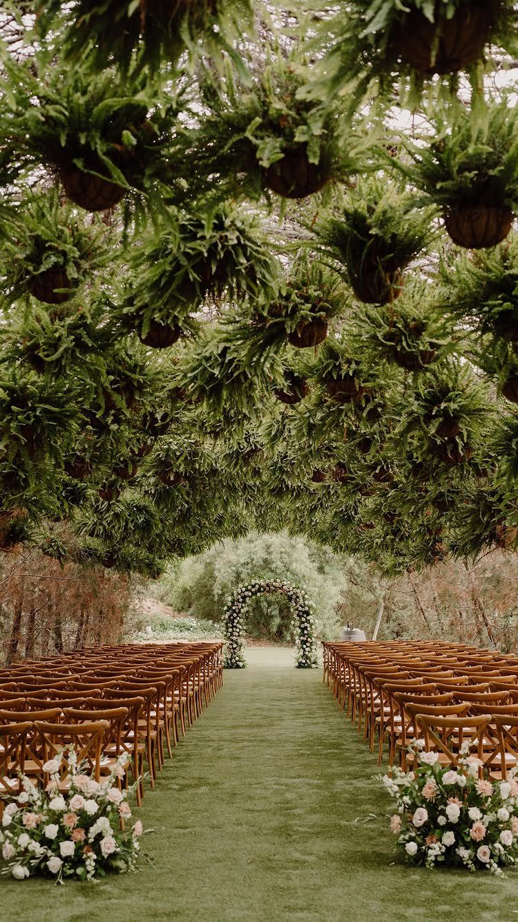 Wedding ceremony setup with wooden chairs, floral arch, and hanging green ferns overhead.