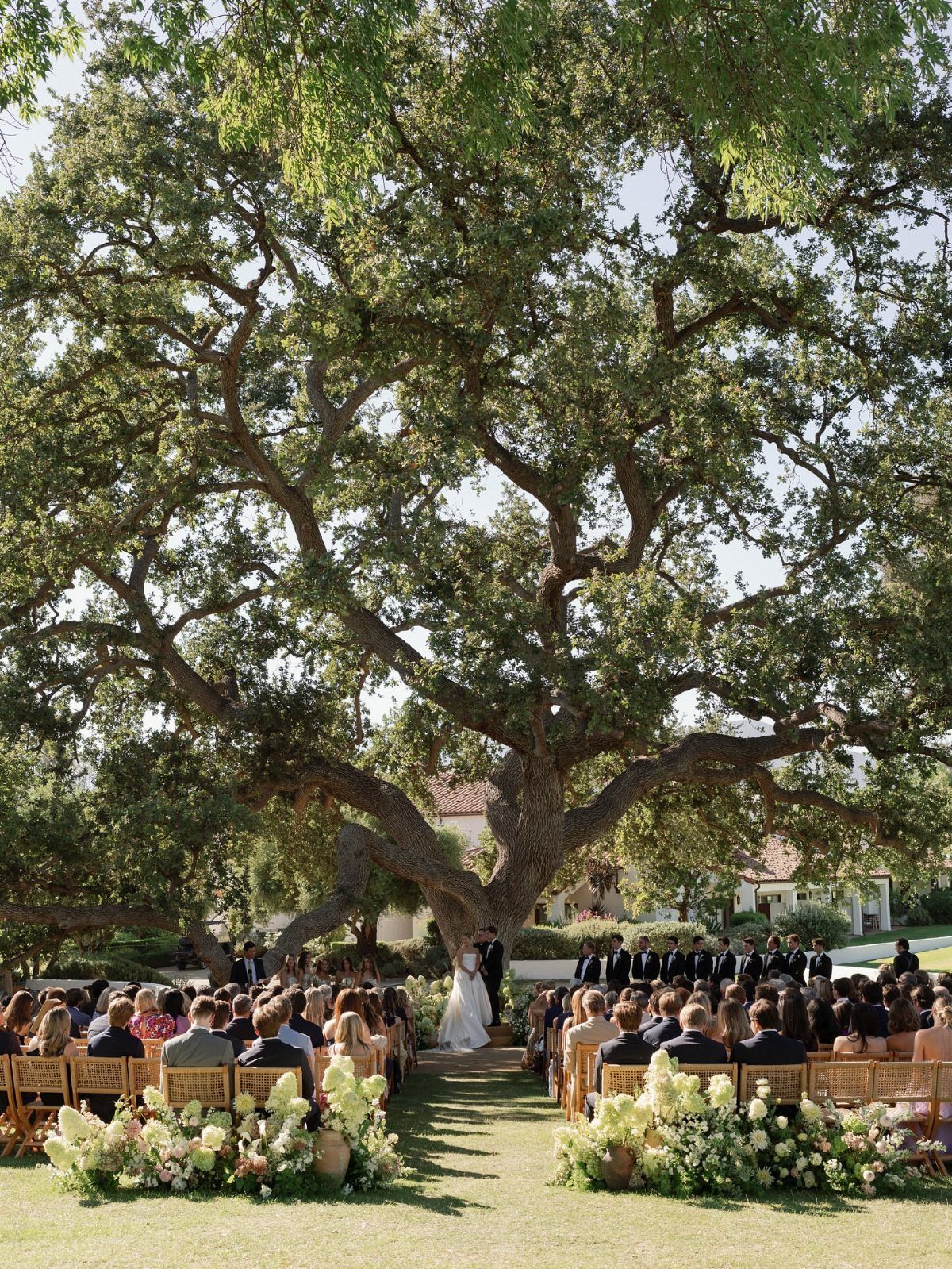 Outdoor wedding ceremony with guests seated under a large spreading oak tree