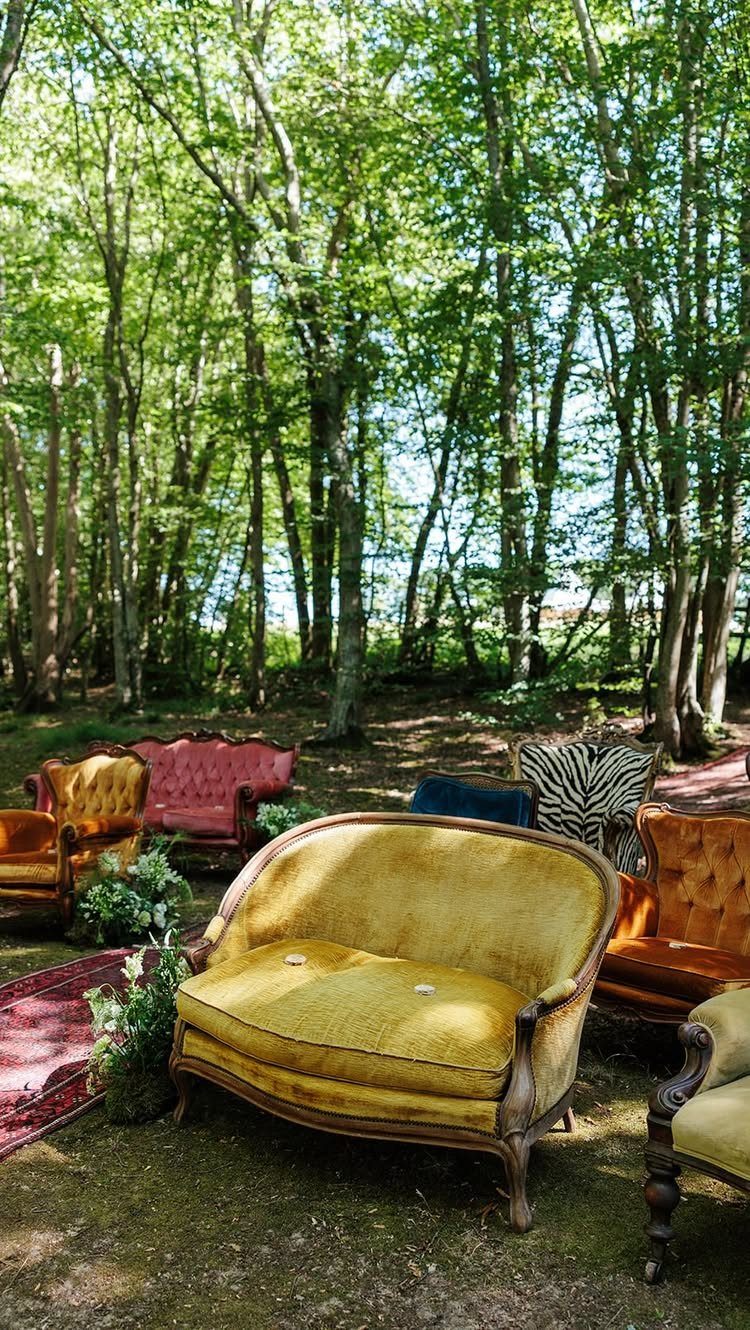 Vintage velvet sofas and armchairs in various colors arranged in a forest clearing.