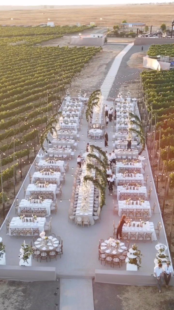 Outdoor wedding reception setup with white tables in a lush green vineyard