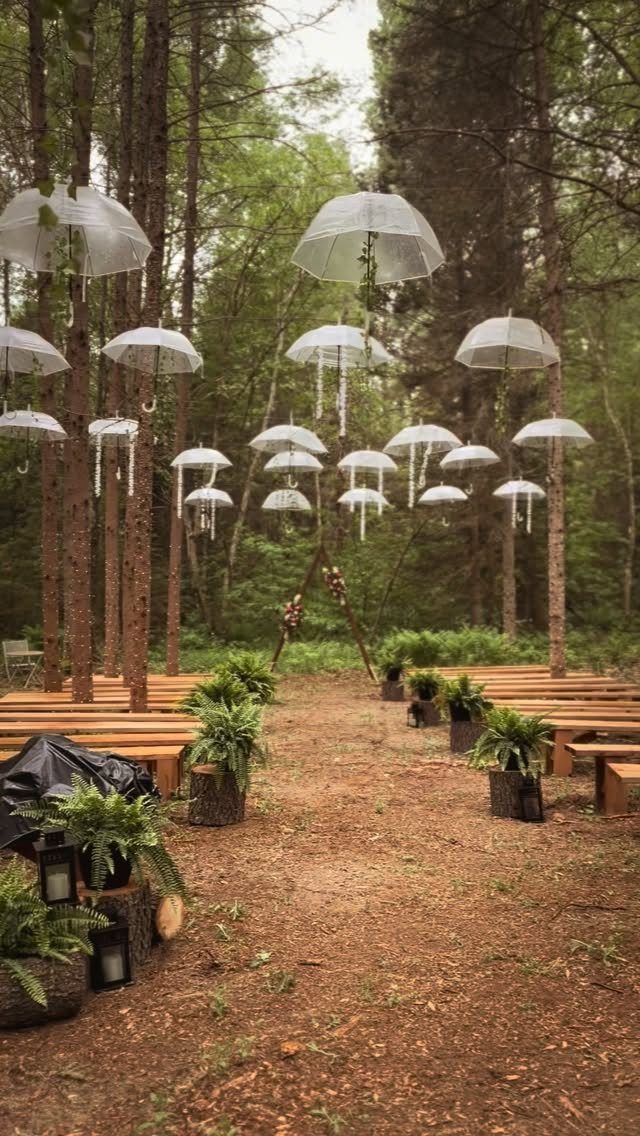 Wedding ceremony setup in a forest with hanging white umbrellas and wooden benches.
