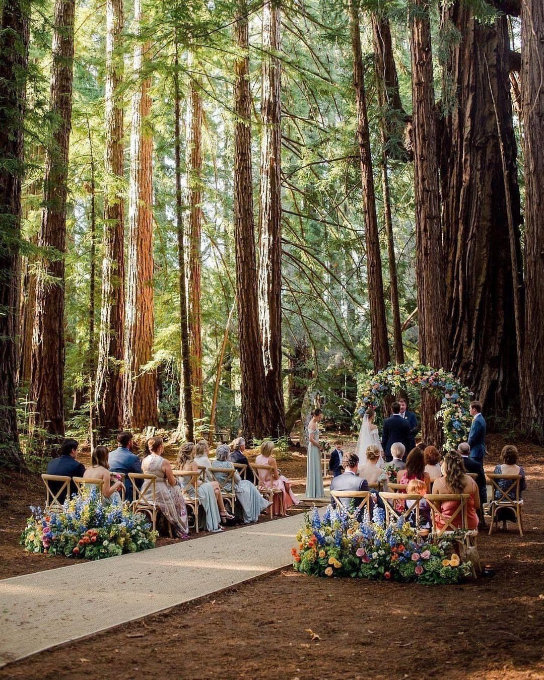 Wedding ceremony in a redwood forest with guests seated by a floral arch.