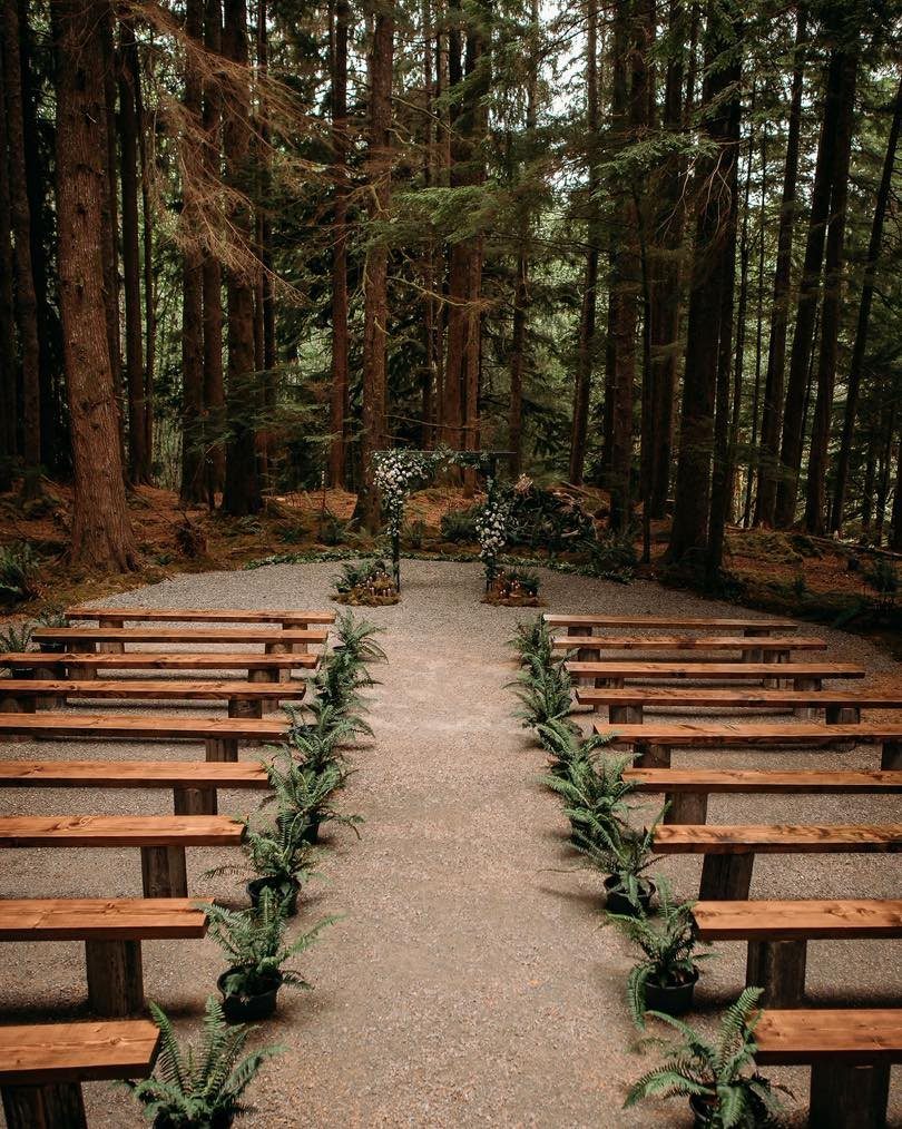 Wooden benches and a floral arch set up for a ceremony in a forest