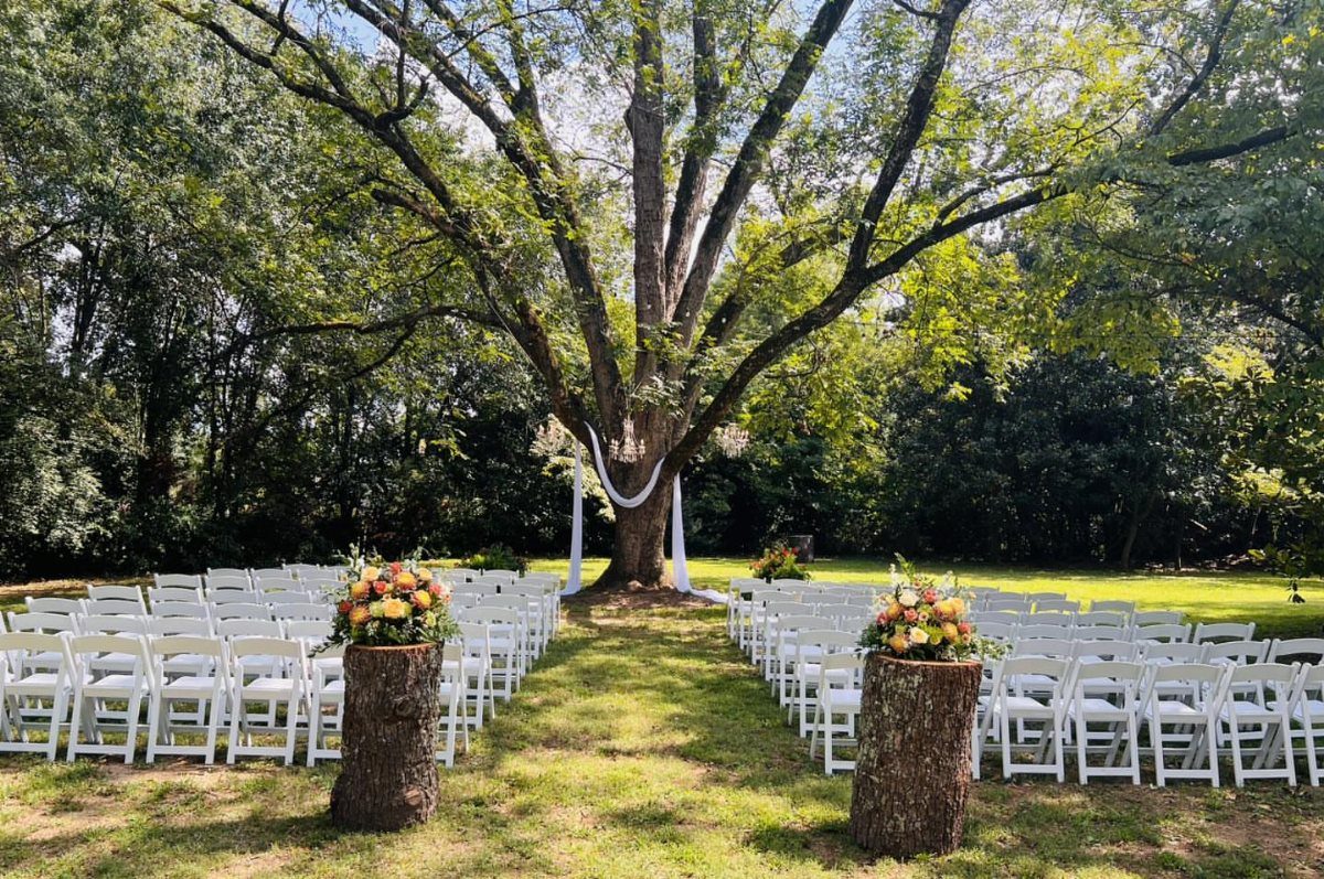 Outdoor wedding ceremony setup with white chairs under a large tree with white draping.