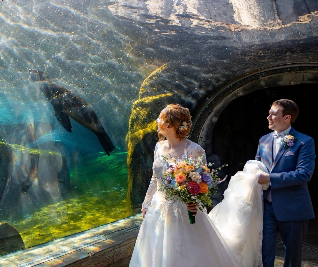 Bride and groom posing in front of a large aquarium tank with a seal.