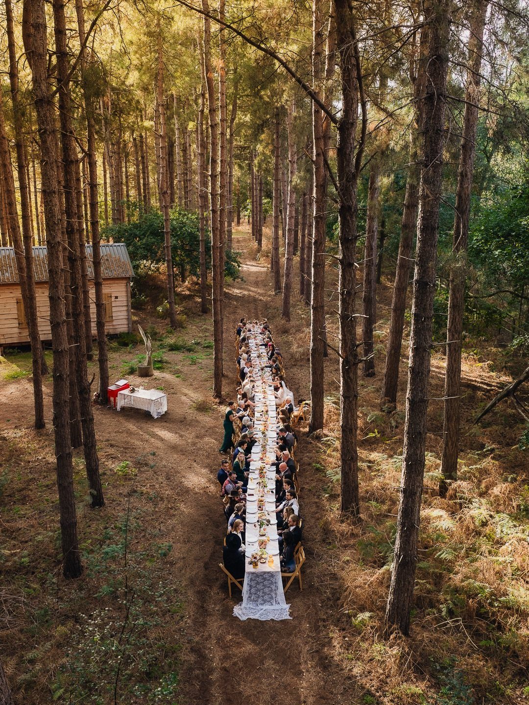 Long dining table with guests in a pine forest next to a wooden cabin.