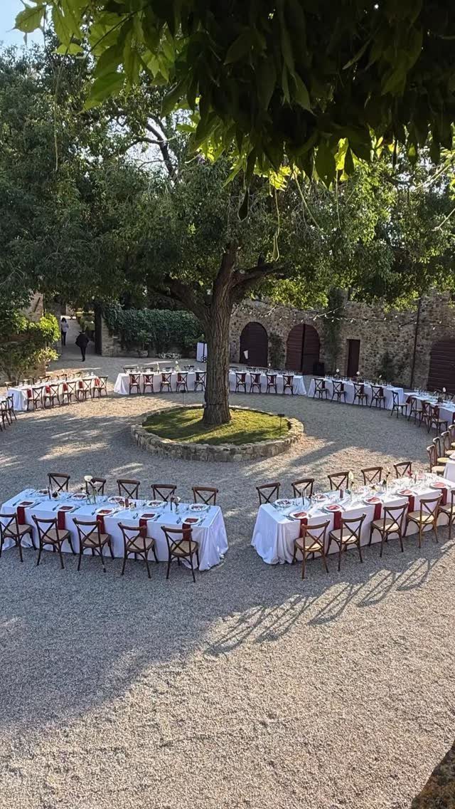Outdoor wedding reception tables arranged in a circle around a large courtyard tree.