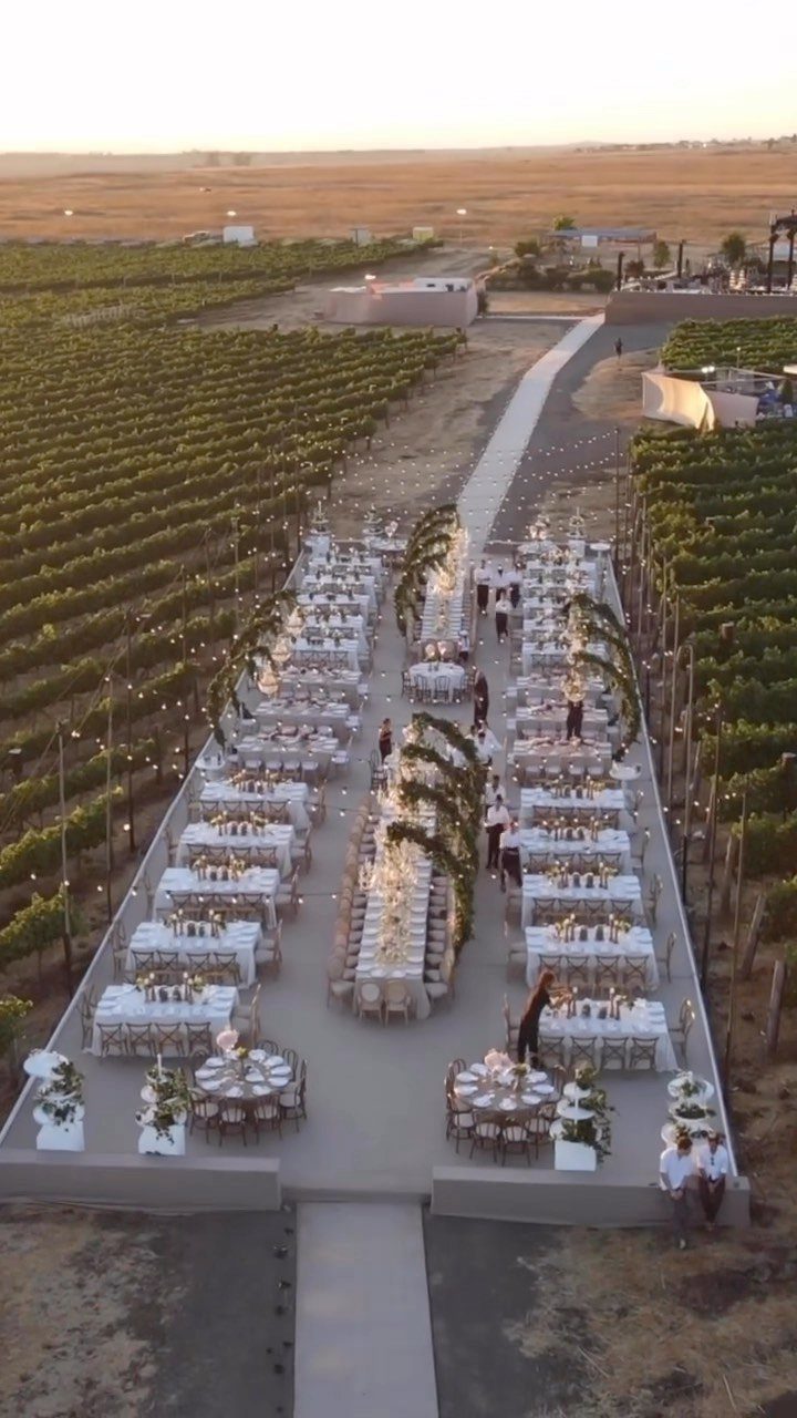 Outdoor wedding reception tables arranged between rows of a lush green vineyard.