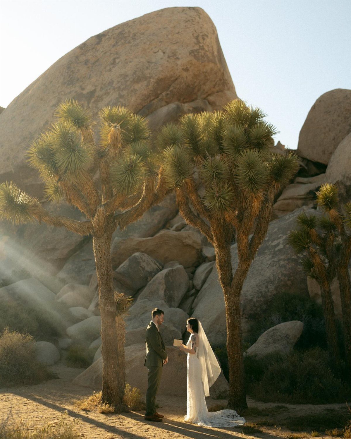 Bride and groom standing between Joshua trees in a desert landscape with boulders.