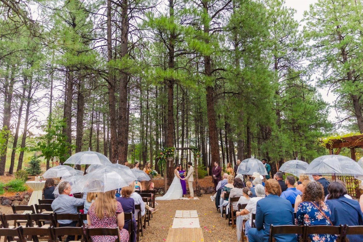 Wedding ceremony in a pine forest with guests holding clear umbrellas during rain.