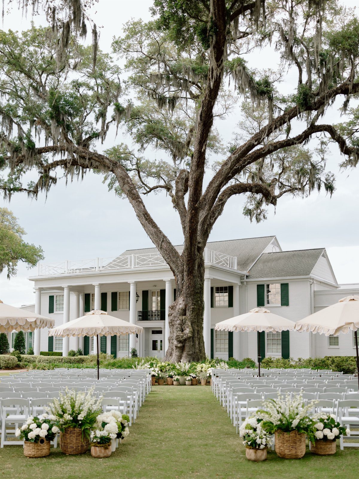 Outdoor wedding ceremony setup with white chairs and umbrellas under a large oak tree.