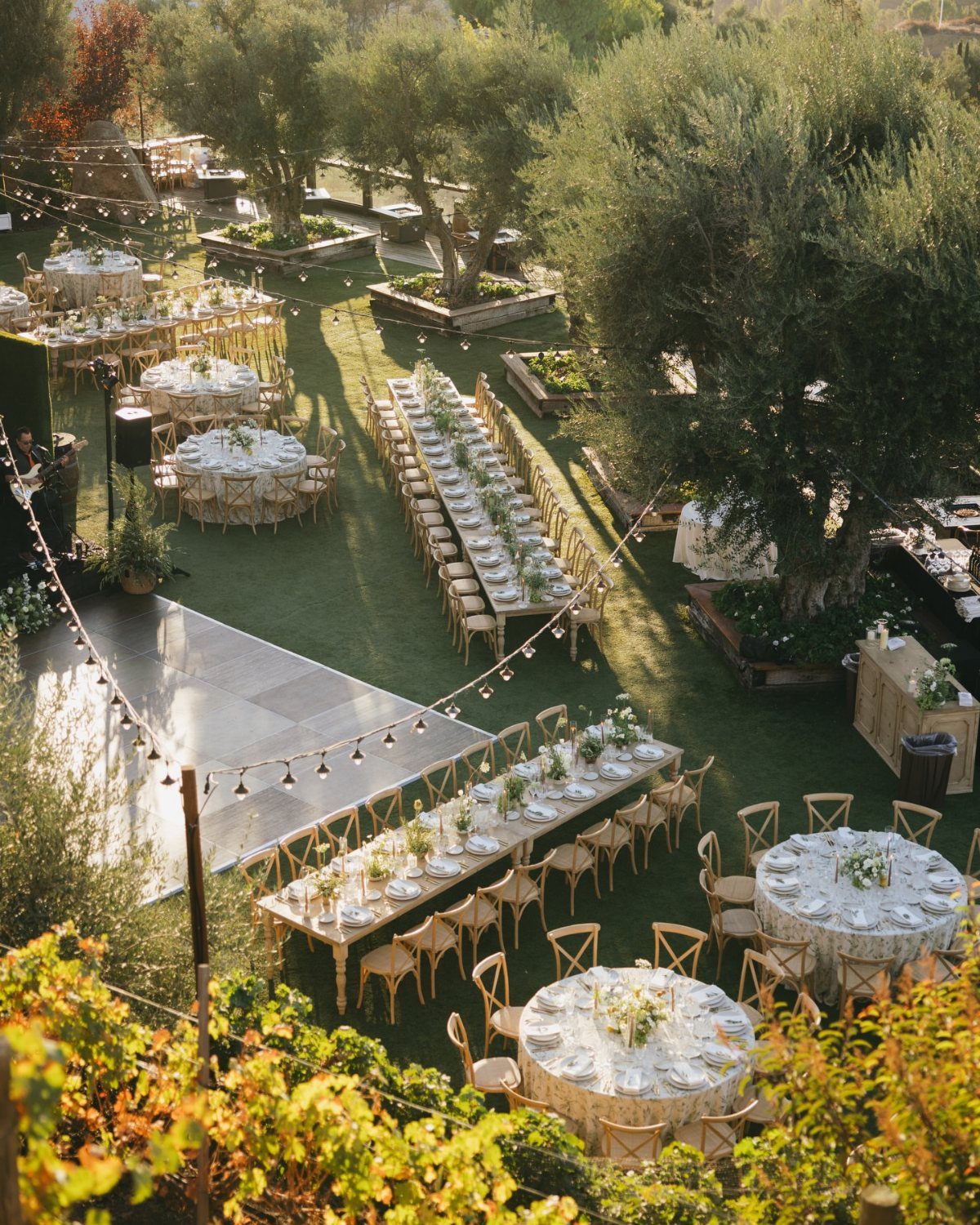 Outdoor wedding reception with white tables, gold chairs, and olive trees under string lights.