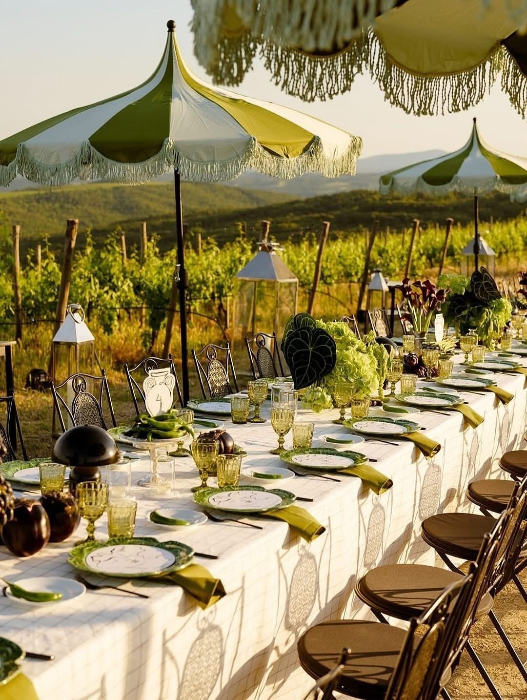Elegant outdoor dining table set among rows of grapevines with striped umbrellas.