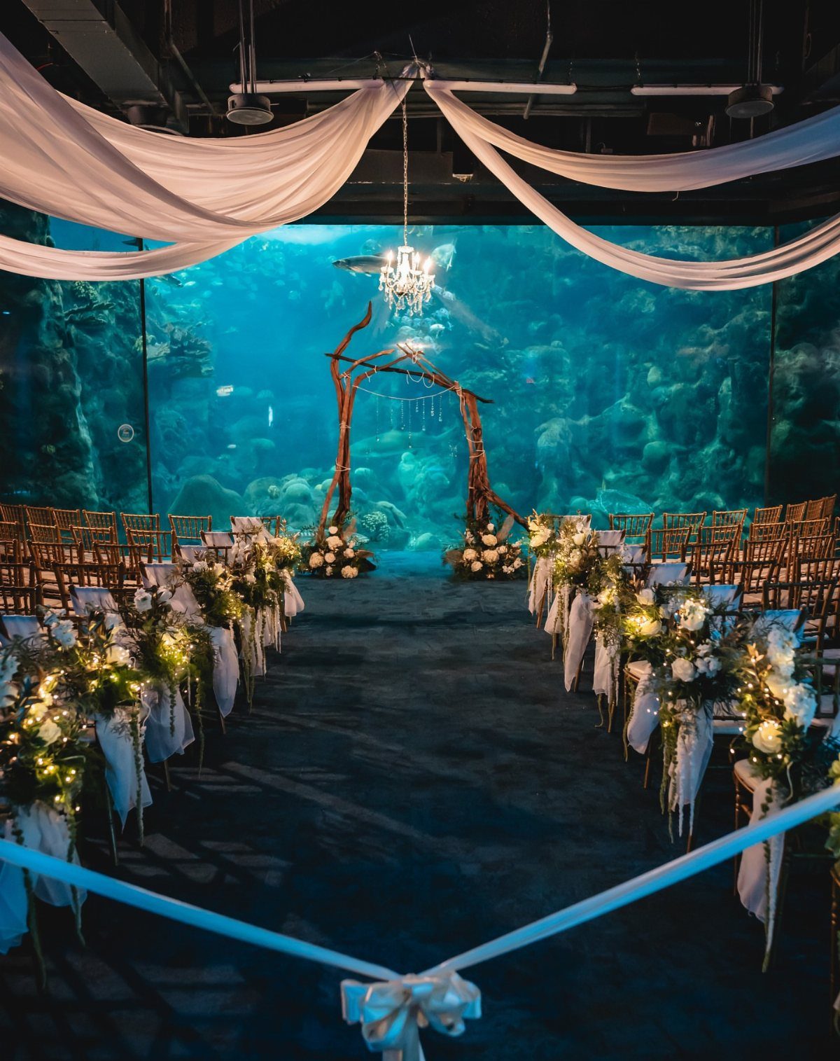 Wedding ceremony setup in an aquarium with a massive blue fish tank backdrop.
