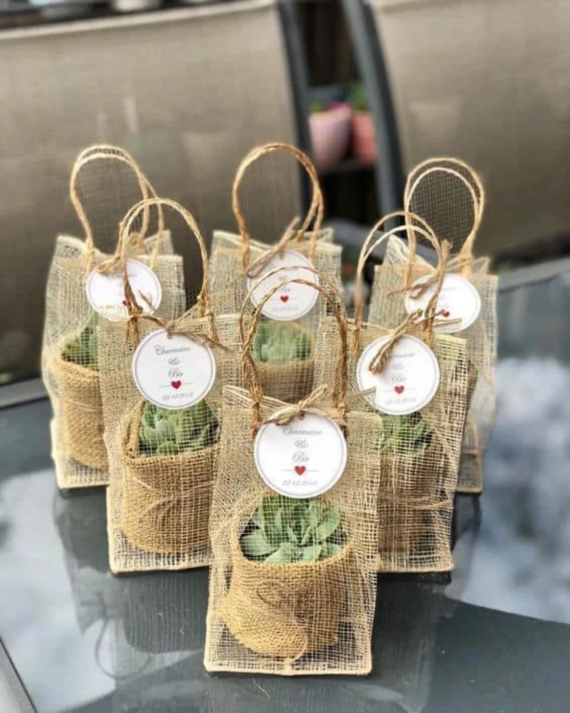 Small succulent plants in burlap pots with personalized tags as wedding guest favors.