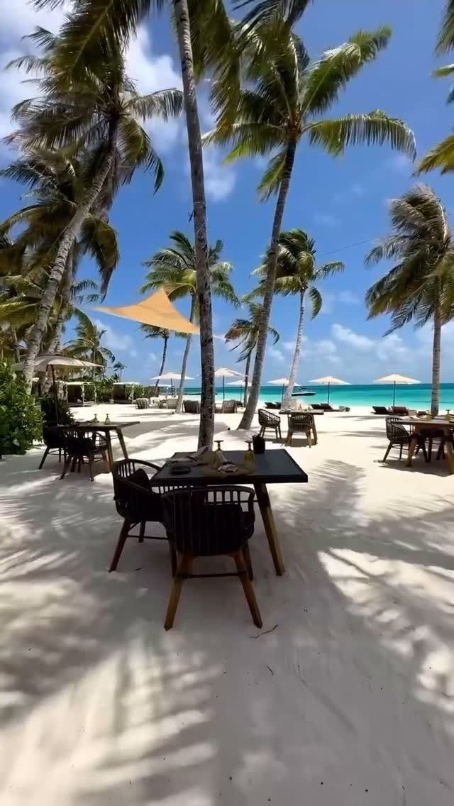 Beach dining setup with black tables and chairs under palm trees by the ocean
