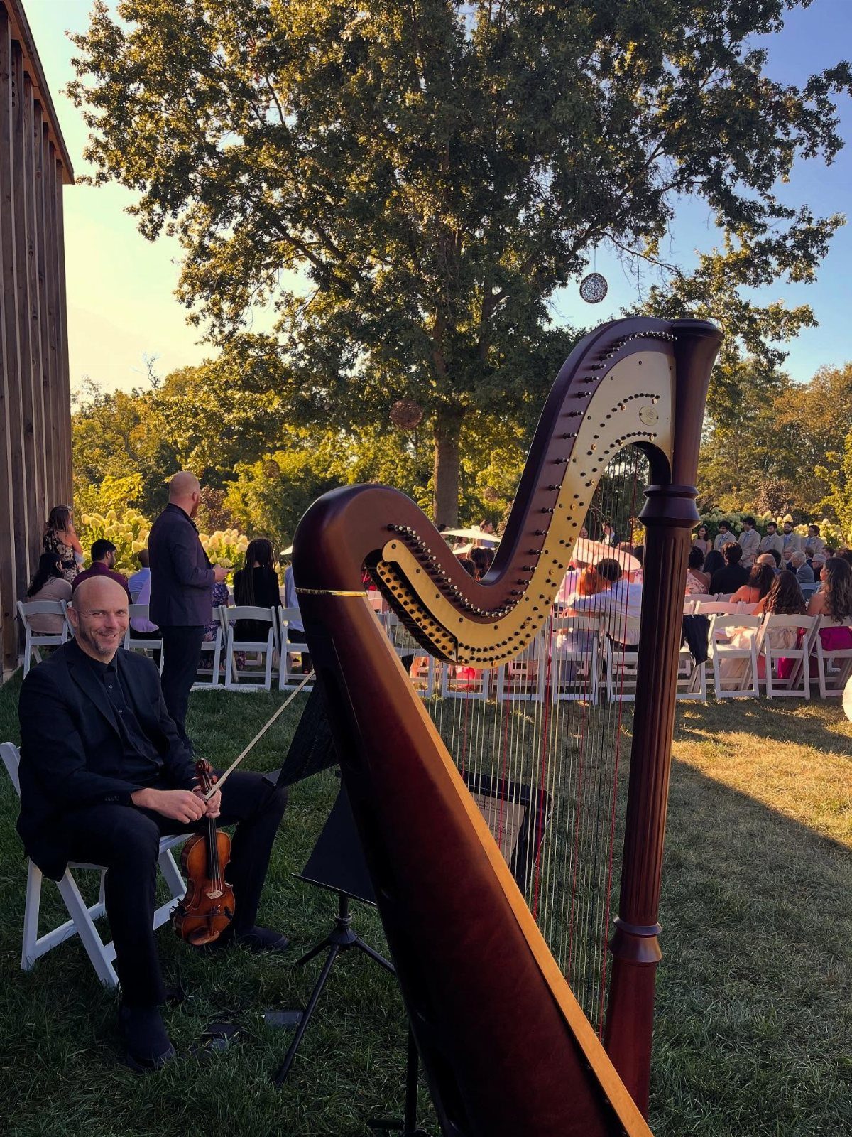 Musician with violin and large wooden harp at an outdoor wedding ceremony