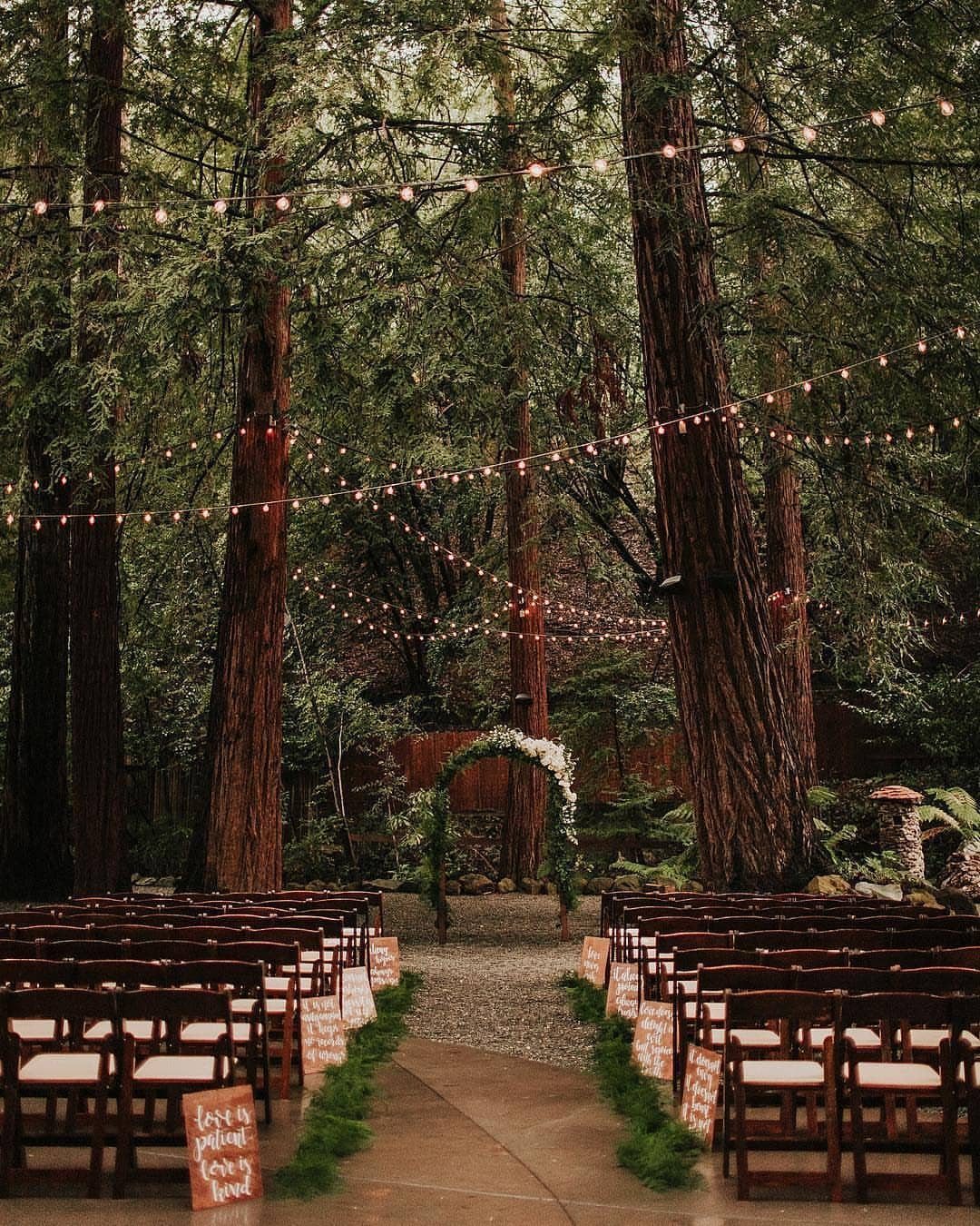 Wedding ceremony setup with wooden chairs and floral arch in a redwood forest