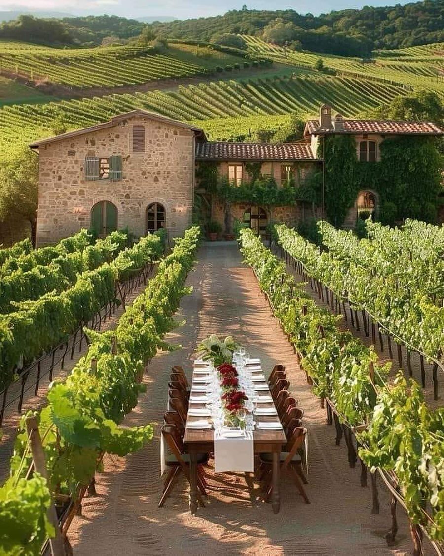 Wedding dining table set between vineyard rows with a rustic stone villa background