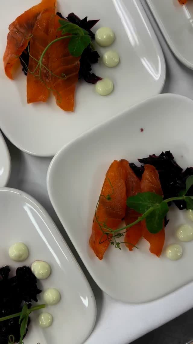 Smoked salmon appetizers with cream and microgreens on white square plates.