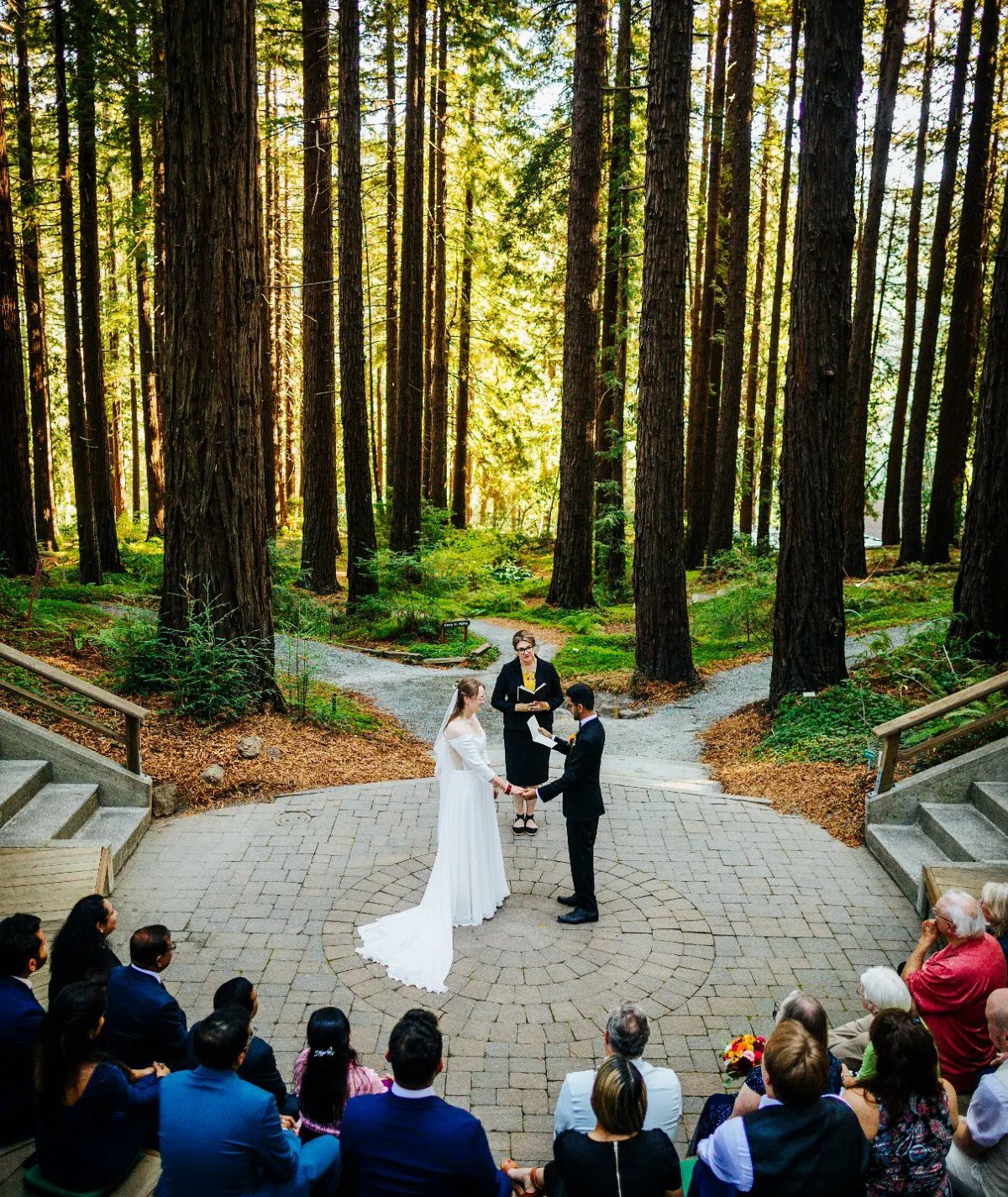 Wedding ceremony in a circular stone amphitheater surrounded by towering redwood forest trees.