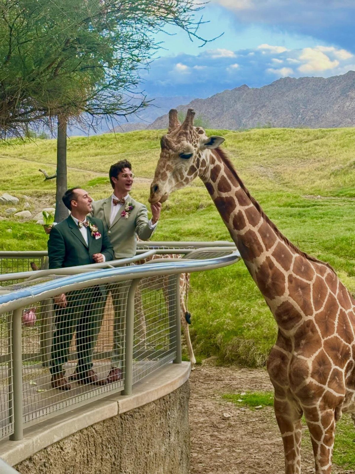Two men in suits interacting with a giraffe at an outdoor venue.
